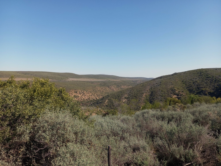 Commercial Property for Sale in George Rural Western Cape